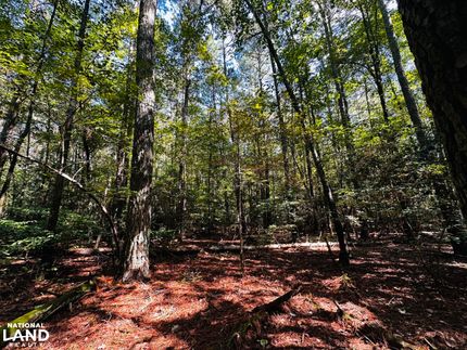 Recreational Property for sale in Gloucester County, Virginia