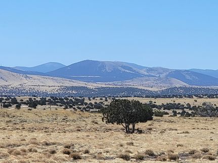 Farm and Ranch for sale in Apache County, Arizona