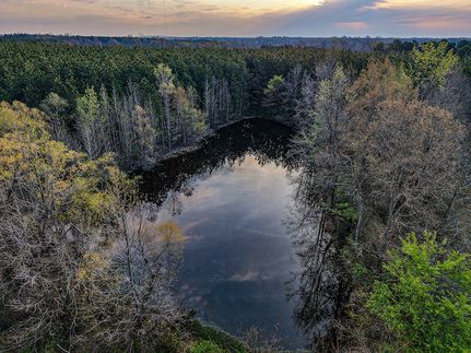 Timberland Property for sale in Clay County, Mississippi