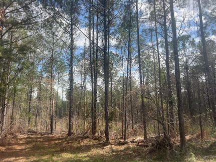 Land for sale in Monroe County, Alabama