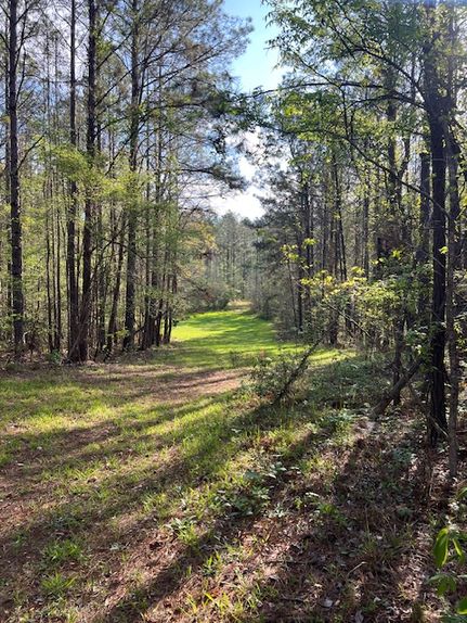 Hunting Property for sale in Monroe County, Alabama