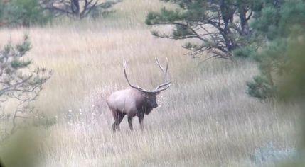 Timberland Property for sale in Musselshell County, Montana
