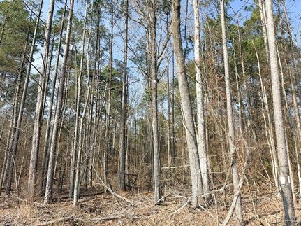 Timberland Property for sale in Dallas County, Arkansas