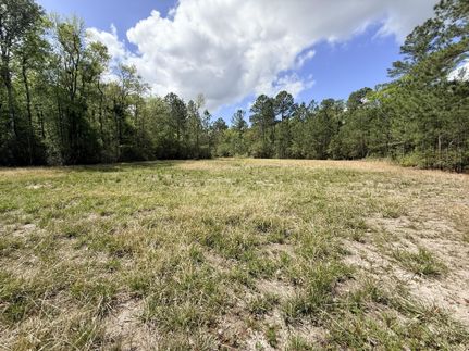 Land for sale in Bulloch County, Georgia