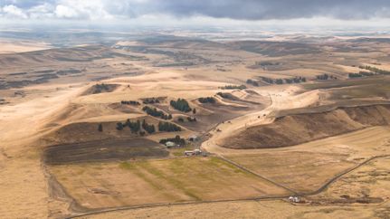 Farm and Ranch for sale in Whitman County, Washington