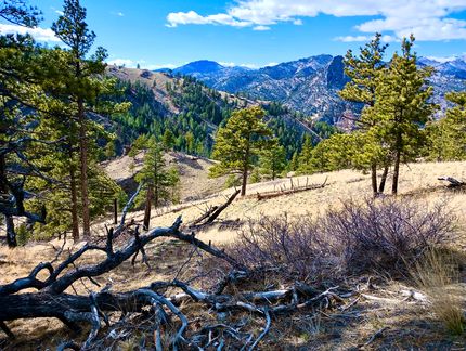 Hunting Property for sale in Cascade County, Montana