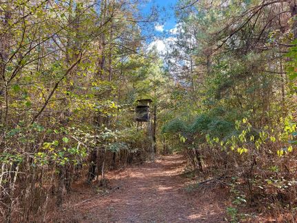 Farm and Ranch for sale in Cleveland County, Arkansas