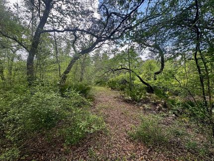 Recreational Property for sale in Madison County, Florida