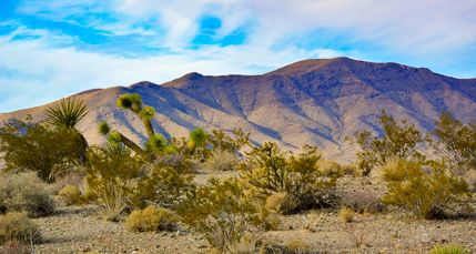 Farm and Ranch for sale in Mohave County, Arizona