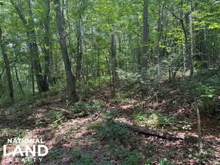 Hunting Property in Cherokee County, Alabama