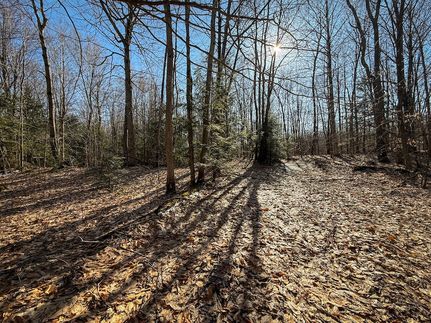 Timberland Property for sale in Oswego County, New York