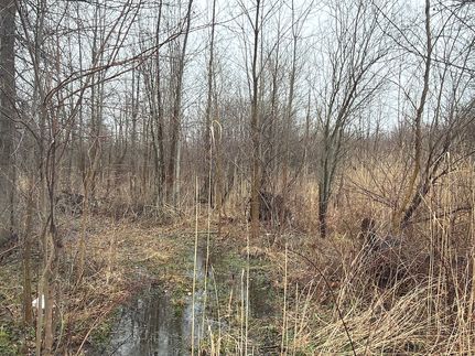 Recreational Property for sale in Ashtabula County, Ohio