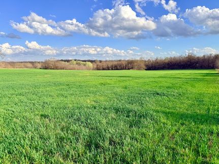 Farm and Ranch for sale in Dade County, Missouri