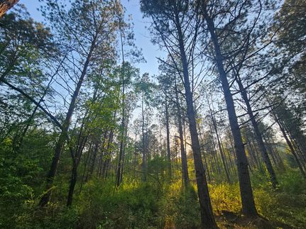Farm and Ranch for sale in Etowah County, Alabama