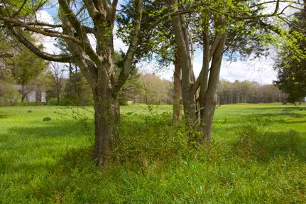 Land for sale in Fayette County, Tennessee