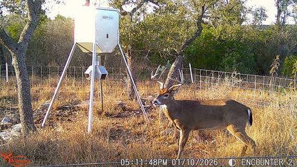 Land for sale in Medina County, Texas