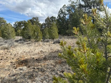 Recreational Property for sale in Cibola County, New Mexico