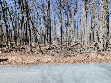 Timberland Property in Wayne County, Pennsylvania