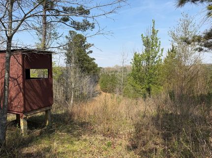 Undeveloped Land for sale in Lamar County, Alabama