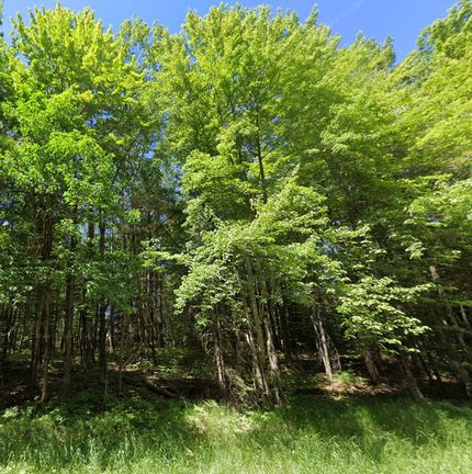 Recreational Property for sale in Iosco County, Michigan