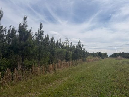 Timberland Property for sale in Randolph County, Georgia