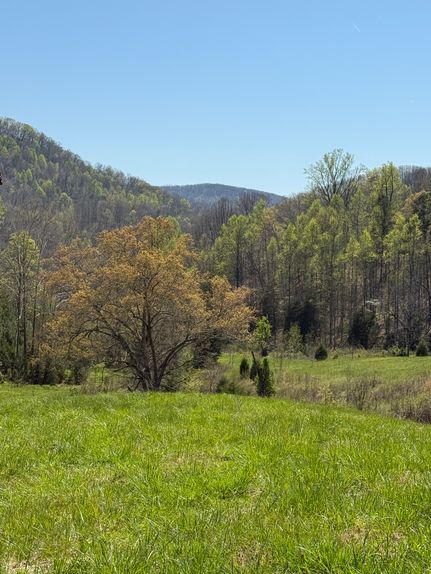 Timberland Property for sale in Hawkins County, Tennessee