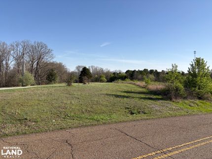 Timberland Property in Fayette County, Tennessee