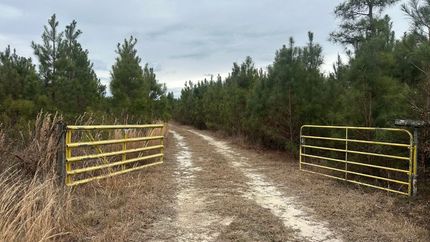 Farm and Ranch for sale in Screven County, Georgia