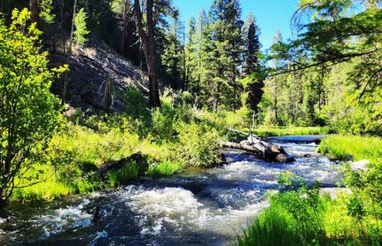 Land for sale in Navajo County, Arizona