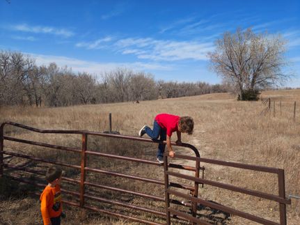 Commercial Property for sale in Morrill County, Nebraska