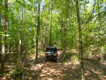 Undeveloped Land for sale in Macon County, Georgia