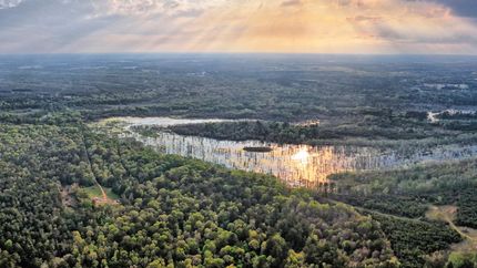Recreational Property for sale in Panola County, Texas