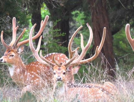 Recreational Property for sale in Brown County, Texas