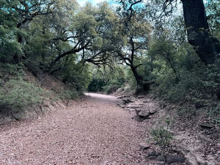 Hunting Property for sale in McCulloch County, Texas