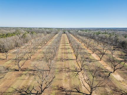 Land for sale in Macon County, Georgia