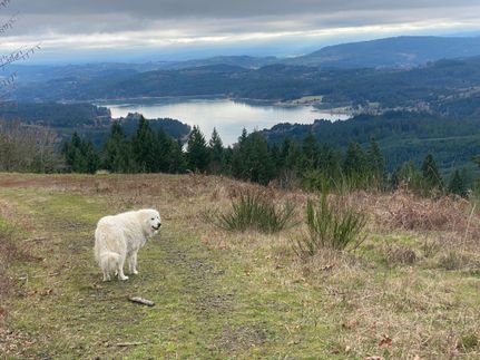 Land for sale in Washington County, Oregon
