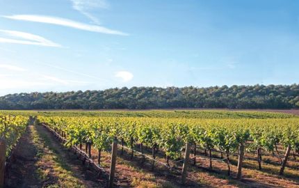 Farm and Ranch for sale in Cape May County, New Jersey