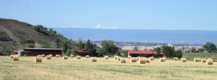 Lakefront Property for sale in Delta County, Colorado