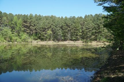 Land for sale in Walker County, Alabama