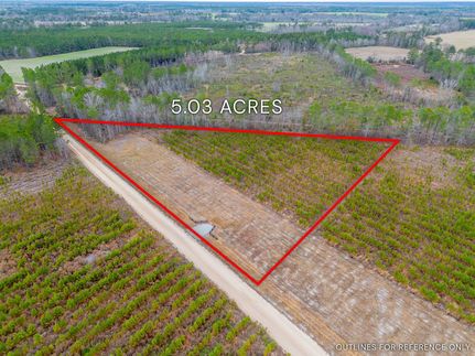 Farm and Ranch in Bulloch County, Georgia