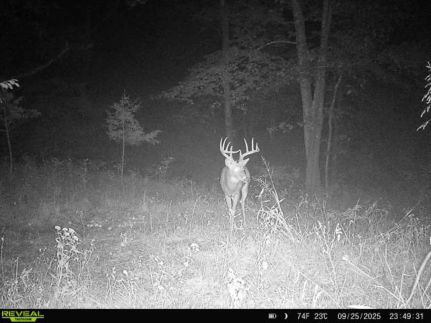 Land for sale in Pendleton County, Kentucky