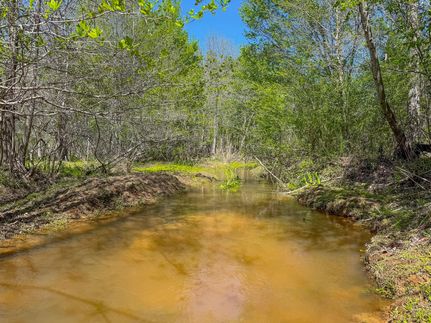 Farm and Ranch for sale in Webster County, Georgia