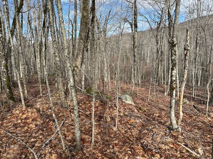 Recreational Property for sale in Waldo County, Maine