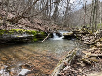 Land for sale in Pendleton County, West Virginia