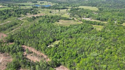 Recreational Property for sale in Butler County, Alabama