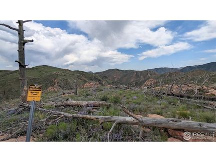 Land for sale in Larimer County, Colorado