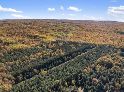 Farm and Ranch in Emmet County, Michigan