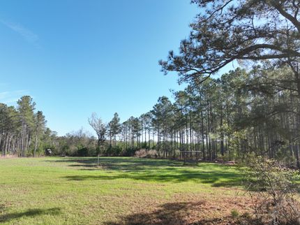 Land for sale in Randolph County, Georgia