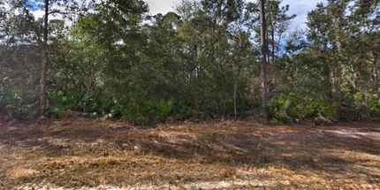 Land for sale in Putnam County, Florida