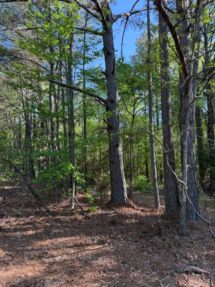 Farm and Ranch for sale in Lamar County, Alabama
